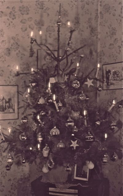 Deze foto hebben we nog genomen voor we naar de buren trokken voor een nieuwjaarsborrel. Zo hebben de pompiers onze boom niet aangetroffen. 